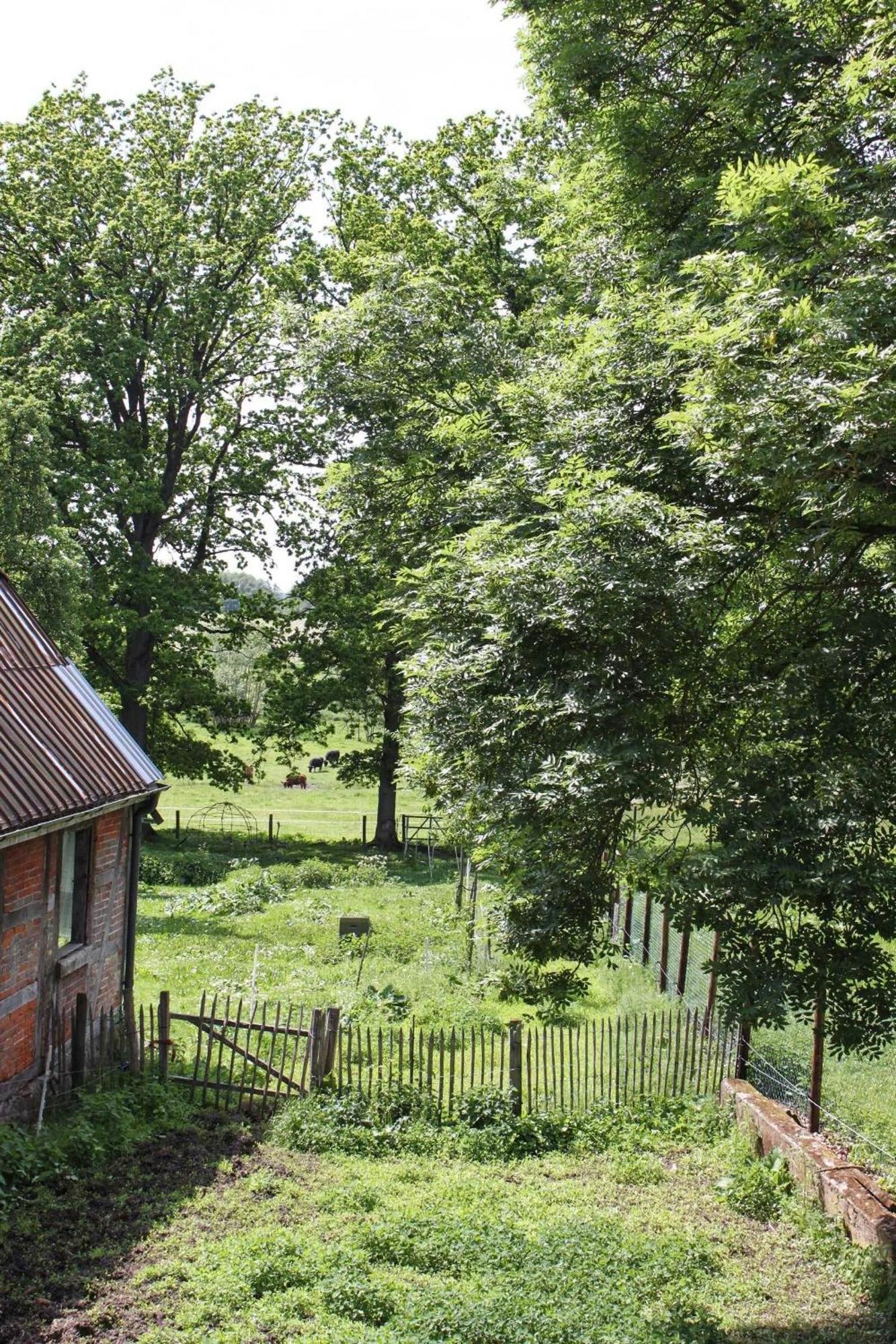 Ferienwohnung Auf Der Ruebenburg Barnsen Dış mekan fotoğraf